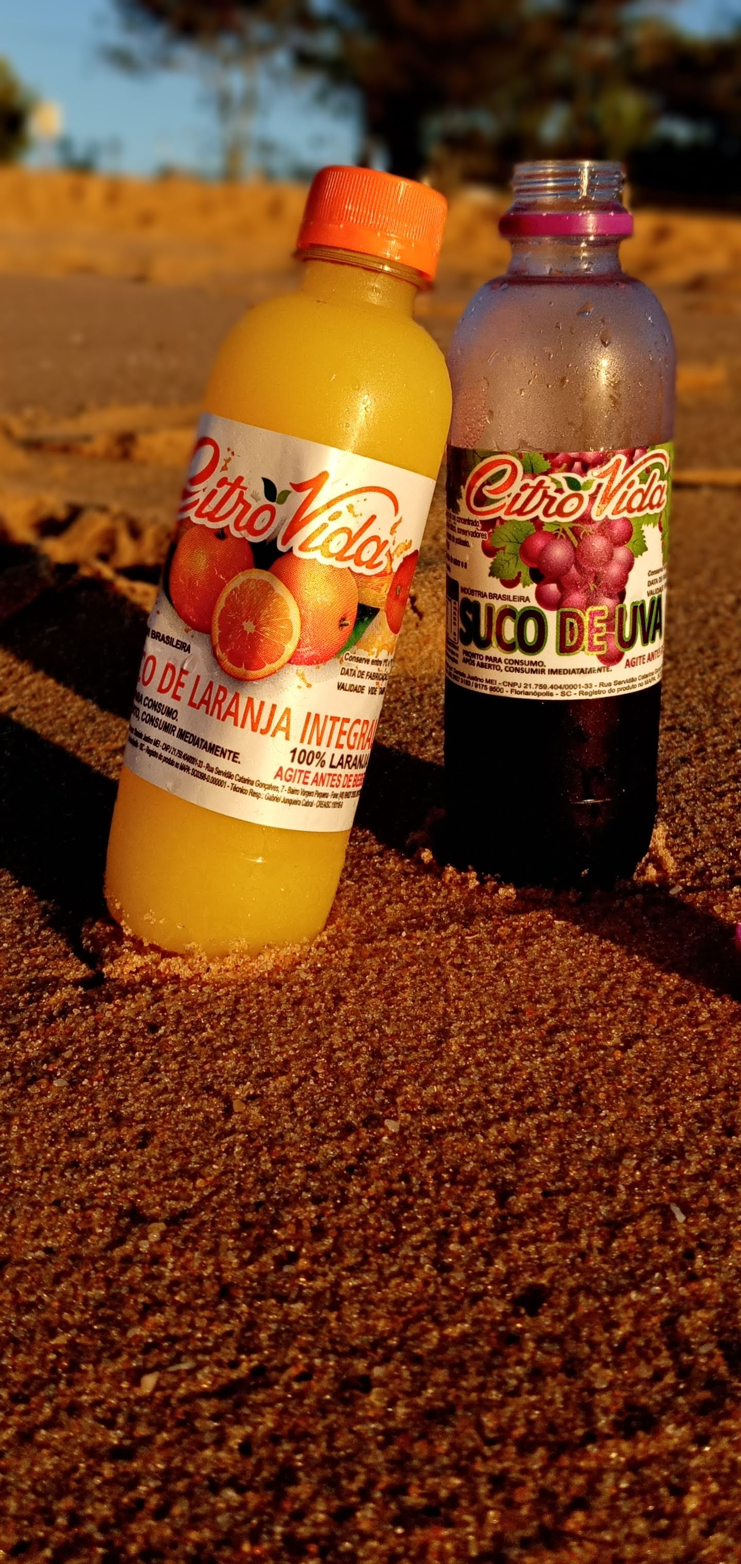 Mini Salgados Porto Belo SC 4